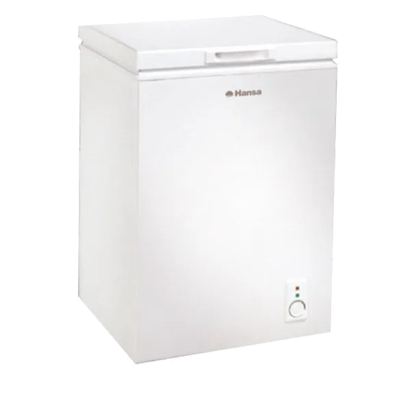 Ремонт холодильников Hansa FS100.3 в сервисном центре FIX-Hansa