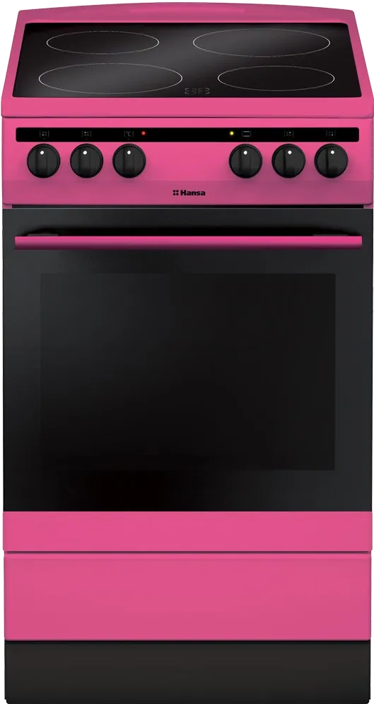 Ремонт кухонных плит Hansa FCCP58088 в сервисном центре FIX-Hansa